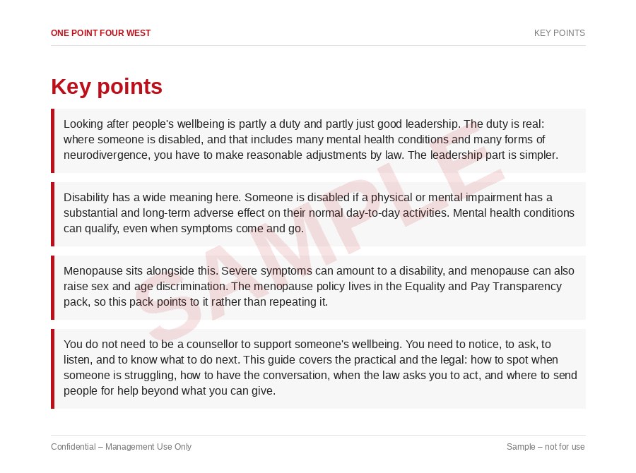 Sample page from the Wellbeing & Inclusion Pack: key points